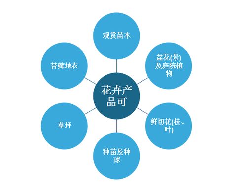 2022年中国花卉种植行业分析报告 行业发展格局与投资潜力评估