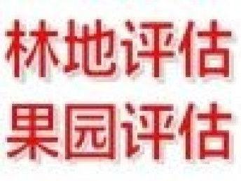 图 专业快速评估公司 北京会计审计