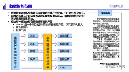 2023数据智能市场研究及选型评估报告.pdf 链接