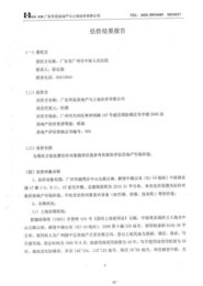 评估报告