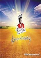 刘洋半年工作总结评估